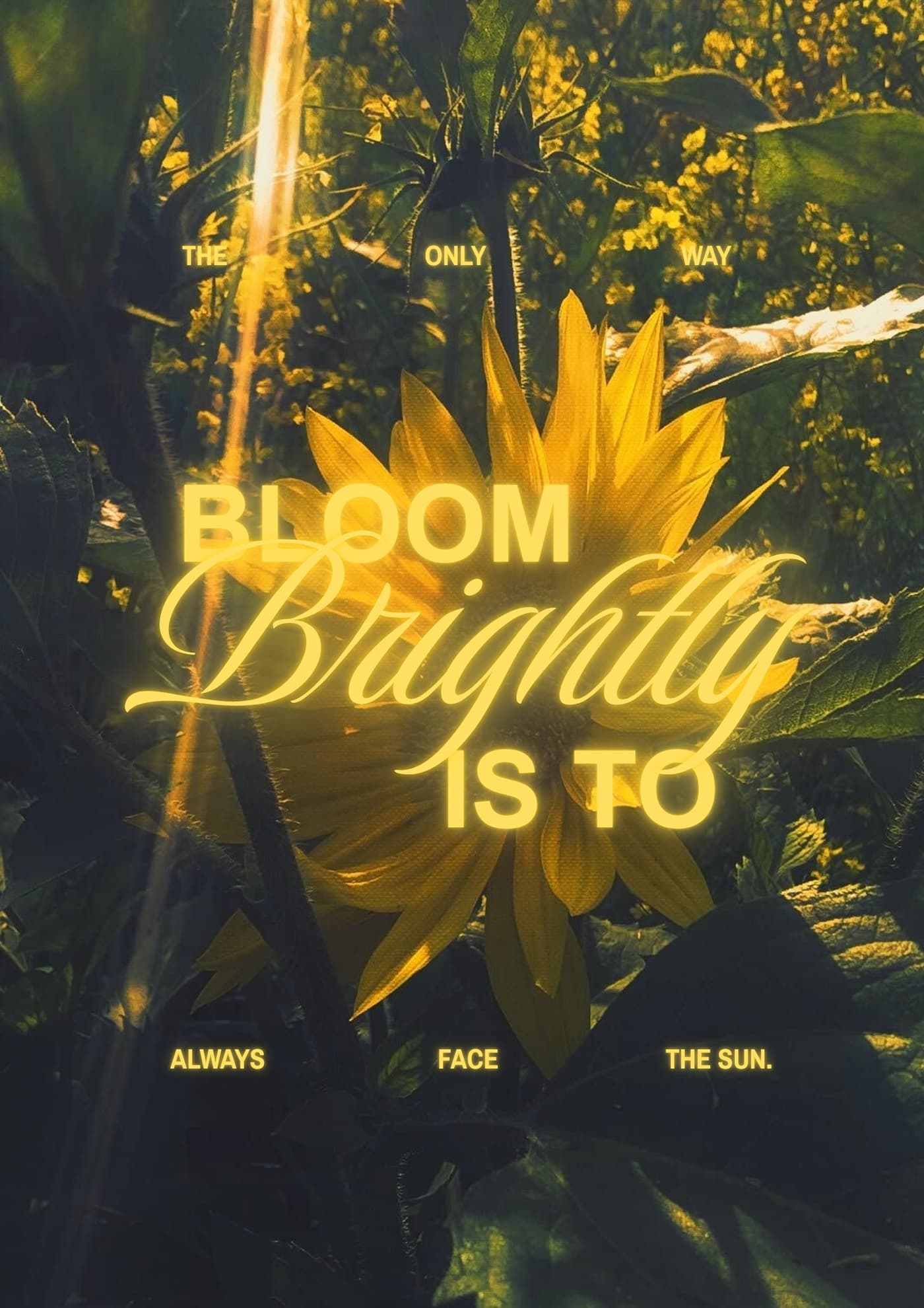 face the sun